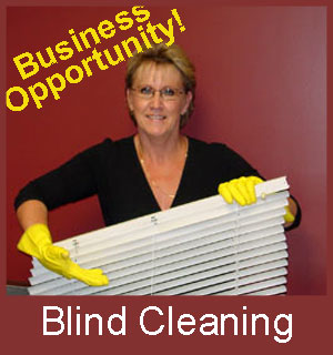 Blind_Cleaning