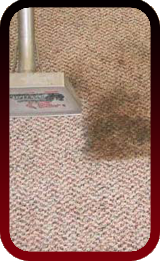 Clean and Dirty Carpet